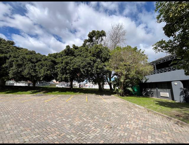 1,035M² WAREHOUSE TO LET IN ELSIES RIVER INDUSTRIAL